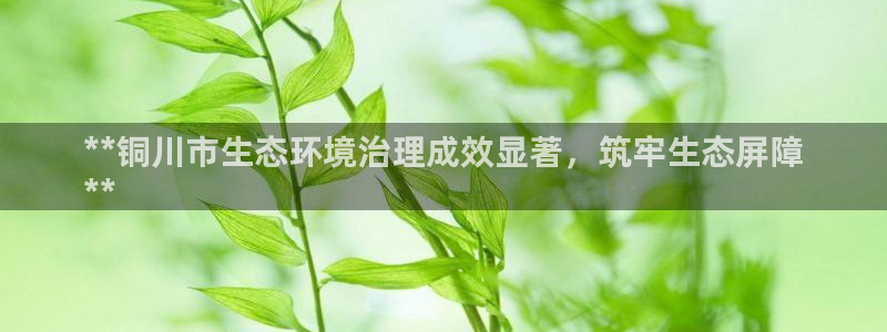 凯发网娱乐官网登录：**铜川市生态环境治理成效显著，筑牢生态屏障
**