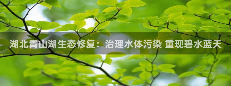 凯发k8国际首页登录|湖北青山湖生态修复：治理水体污染 重现碧水蓝天