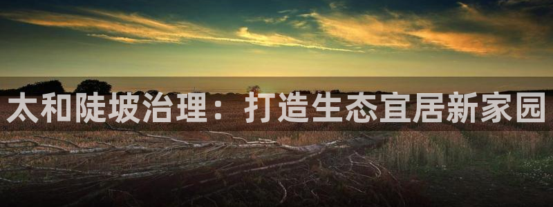 凯发k8·中国官方网站|太和陡坡治理：打造生态宜居新家园