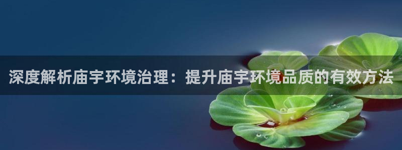 凯发k8·中国官方网站|深度解析庙宇环境治理：提升庙宇环境品质的有效方法