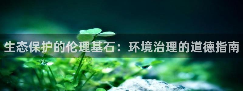 凯发k8天生赢家一触即发|生态保护的伦理基石：环境治理的道德指南