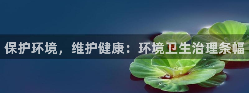 凯发官方网站|保护环境，维护健康：环境卫生治理条幅